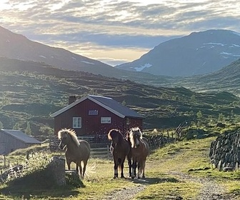 Replay Au sud du cercle polaire en Norvège - Les jours les plus longs