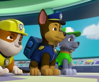 Replay Paw Patrol, la Pat'Patrouille - Le jour des élections