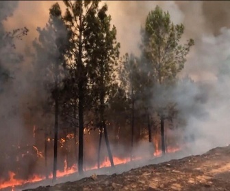 Replay Élément Terre, la quotidienne - Incendies en Espagne : une année noire pour le pays