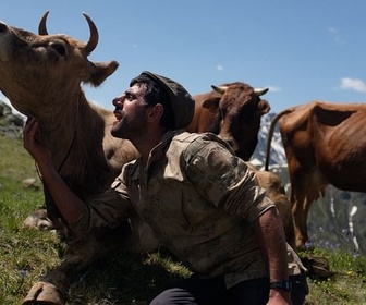 Replay Turquie, les chemins de la transhumance - 360° Reportage