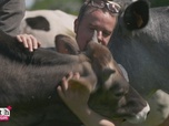 Replay Dr Cath - Mission adoption - S2 E7
