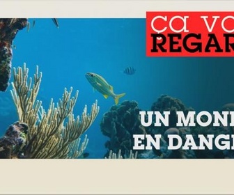Ça vous regarde replay