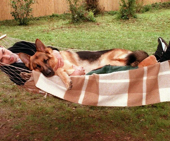 Rex, chien flic replay