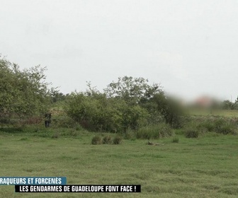 Replay Enquête d'action - Braqueurs et forcenés : les gendarmes de Guadeloupe font face !