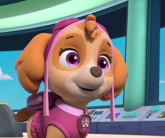 Replay Paw Patrol, la Pat'Patrouille - Le petit paresseux