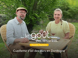 Replay Le goût des rencontres Nouvelle-Aquitaine - 10/10/2026