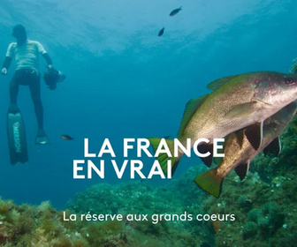 Replay La France en vrai - La réserve aux grands coeurs