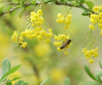 Replay e=m6 - Papillons, fleurs, fourmis, ces merveilles de la nature n'ont pas fini de vous surprendre !