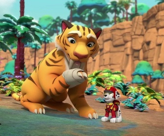 Replay S00 E41 - Compilation Paw Patrol, la Pat'Patrouille 41