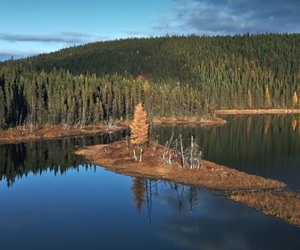 Replay Le Québec boréal - Canada, la force de la nature