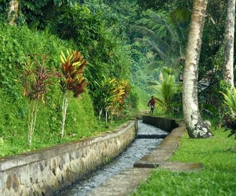 Replay Les gardiens de l'eau - Bali, l'eau des dieux
