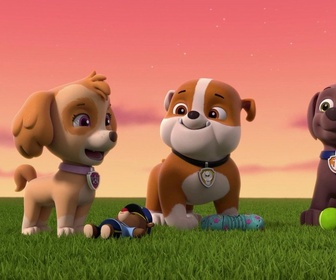 Replay Paw Patrol, la Pat'Patrouille - Une pieuvre farceuse