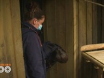 Replay Une saison au zoo - S14 E21