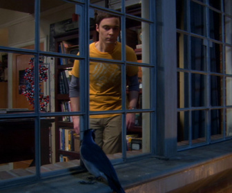 Replay The Big Bang Theory - S5E9 - La phobie de Sheldon
