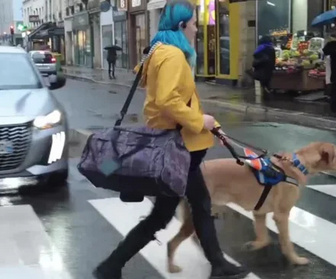 Replay A vous de voir - 06/04/2026