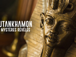 Replay Toutankhamon, les mystères révélés