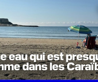 Replay ROBIN DE BFM - Nouveau record de chaleur pour la mer Méditerranée