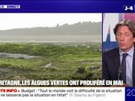 Replay 20H BFM - Bretagne: les algues vertes ont proliféré en mai