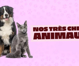 Replay Nos très chers animaux