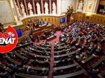 Replay 100% Sénat - Programmation nationale de l'énergie : adoption du texte au Sénat