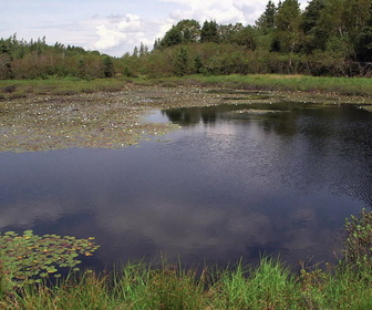 Replay Le mystère d'Oak Island : la course au trésor - S2E4 - La grande percée