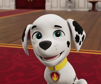 Replay Paw Patrol, la Pat'Patrouille - L'os d'émeraude a disparu