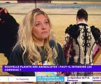 Replay Estelle Midi - Nouvelle plainte des animalistes : faut-il interdire les corridas ?