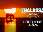 Replay Thalassa, aventures extrêmes - 07/09/2026