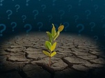 Replay Pourquoi la Terre devient-elle de plus en plus désertique ?