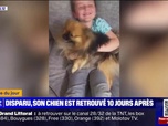 Replay L'image du jour - Haute-Garonne: les retrouvailles émouvantes entre un petit garçon et son chien thérapeutique, disparu depuis 10 jours