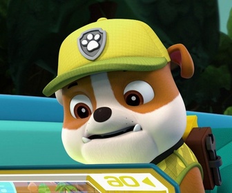 Replay Paw Patrol, la Pat'Patrouille - Les éléphants apeurés