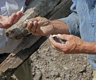 Replay Le mystère d'Oak Island : la course au trésor - S4E2 - En avant, marche !