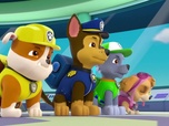 Replay Paw Patrol, la Pat'Patrouille - La bonne vieille source