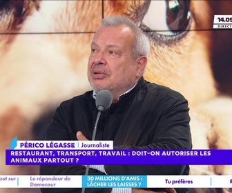 Replay Estelle Midi - Restaurant, transport, travail : doit-on autoriser les animaux partout ?