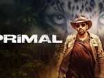 Replay Primal