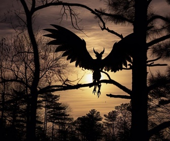 Replay Mystères inexplorés - S1E4 - Le diable du New Jersey