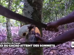 Replay Journal De L'afrique - La filière du cacao traverse une crise au Ghana alors que les prix flambent