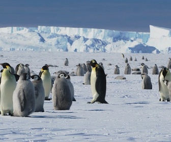 Replay Antarctica 2024 – Un voyage vers l'engagement - Antarctica2024 – Un voyage vers l'engagement