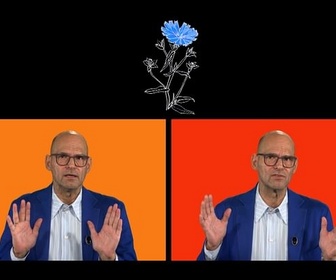 Replay Karambolage - fleur bleue