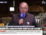 Replay 7 MINUTES POUR COMPRENDRE - Normes, néonicotinoïdes, loi Duplomb... Pourquoi les agriculteurs sont-ils en colère ?