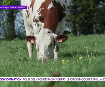 Replay On a de l'info - Inflation : et si vous mangiez des yaourts en circuit-court ?
