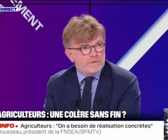 Replay BFM Politique - Colère agricole: Marc Fesneau reconnaît qu'il faut lever les doutes sur les avancées du gouvernement