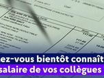 Replay On a de l'info - Allez-vous bientôt connaître le salaire de vos collègues ?