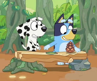 Replay Bluey - Le magasin