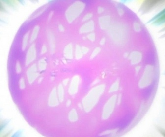 Replay Naruto - S6 E6 - Conclusion sous une pluie de larmes