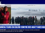 Replay Marschall Truchot - Marshall Truchot : Des agriculteurs en colère contre des abattages massifs - 11/12