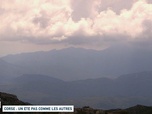 Replay Un jour, un doc week-end - Corse : un été pas comme les autres (2/2)