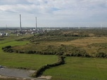 Replay ARTE Journal - Allemagne : une réserve naturelle menacée par un projet industriel