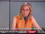Replay Les Grandes Gueules - Lutte contre les feux de forêt : La France a-t-elle suffisamment anticipé ?