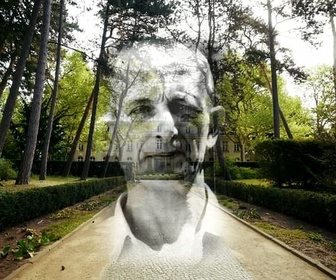 Replay Les Protocoles des sages de Sion - Faux et usage d'un faux antisémite